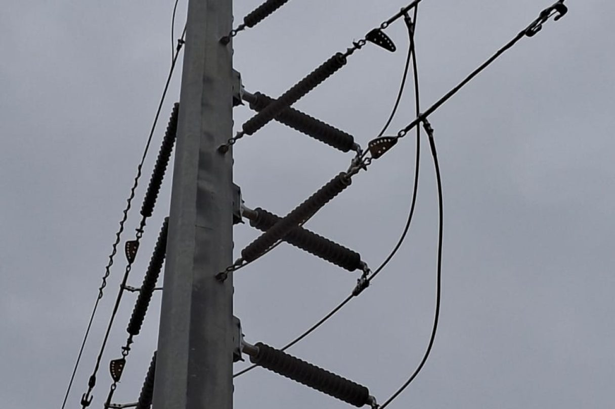 transmission distribution